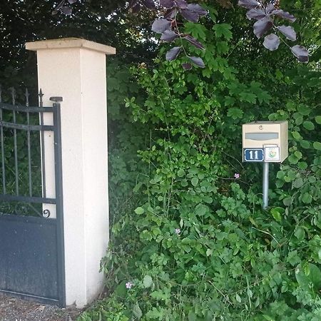 La Bella 12 - Appartement Gite Dans Maison D'Hotes Bordeaux-Saint-Clair Dış mekan fotoğraf