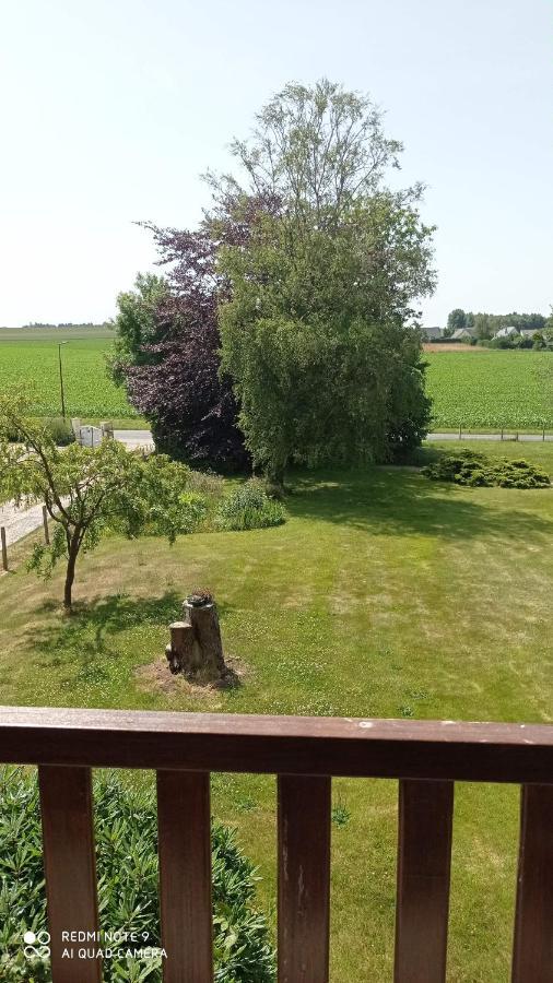 La Bella 12 - Appartement Gite Dans Maison D'Hotes Bordeaux-Saint-Clair Dış mekan fotoğraf