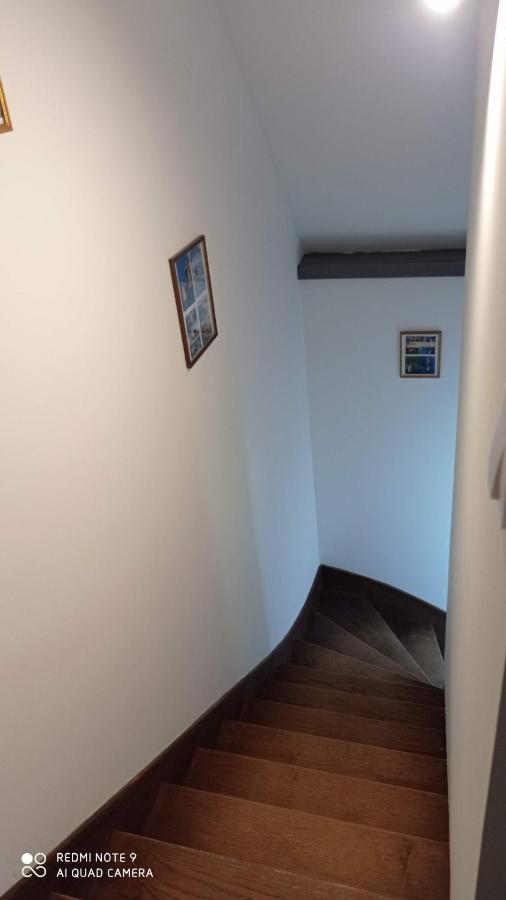 La Bella 12 - Appartement Gite Dans Maison D'Hotes Bordeaux-Saint-Clair Dış mekan fotoğraf